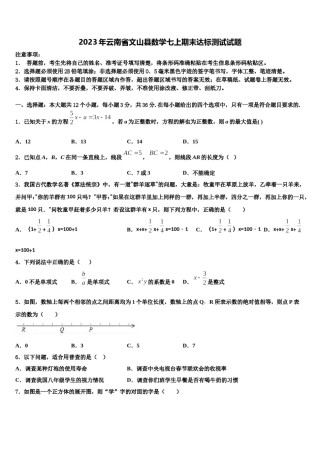 2023年云南省文山县数学七上期末达标测试试题含解析.doc