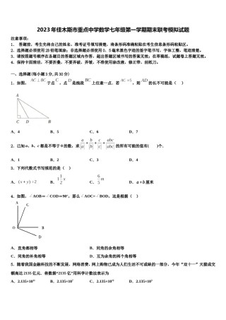 2023年佳木斯市重点中学数学七年级第一学期期末联考模拟试题含解析.doc