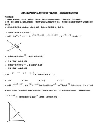 2023年内蒙古乌海市数学七年级第一学期期末检测试题含解析.doc