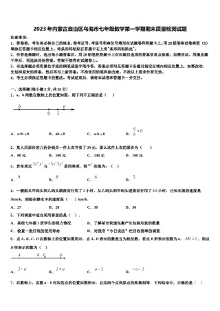 2023年内蒙古自治区乌海市七年级数学第一学期期末质量检测试题含解析.doc