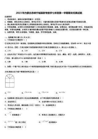 2023年内蒙古赤峰宁城县联考数学七年级第一学期期末经典试题含解析.doc