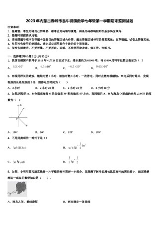 2023年内蒙古赤峰市翁牛特旗数学七年级第一学期期末监测试题含解析.doc
