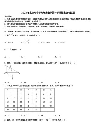 2023年北京七中学七年级数学第一学期期末统考试题含解析.doc