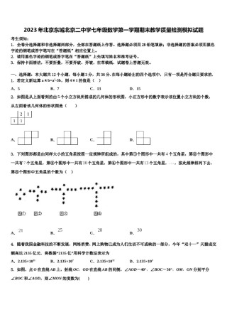 2023年北京东城北京二中学七年级数学第一学期期末教学质量检测模拟试题含解析.doc