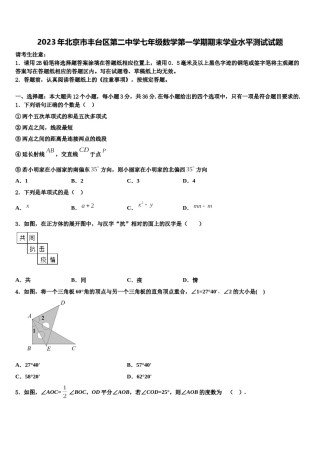 2023年北京市丰台区第二中学七年级数学第一学期期末学业水平测试试题含解析.doc