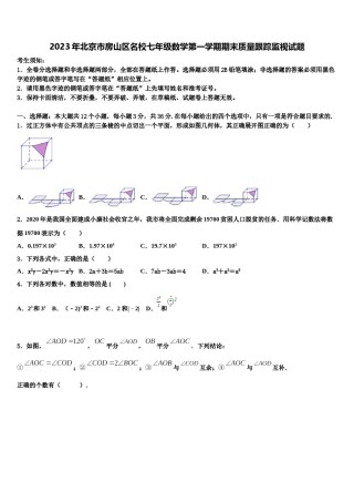 2023年北京市房山区名校七年级数学第一学期期末质量跟踪监视试题含解析.doc