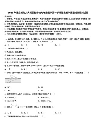 2023年北京朝阳人大附朝阳分校七年级数学第一学期期末教学质量检测模拟试题含解析.doc