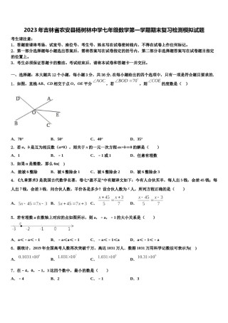 2023年吉林省农安县杨树林中学七年级数学第一学期期末复习检测模拟试题含解析.doc