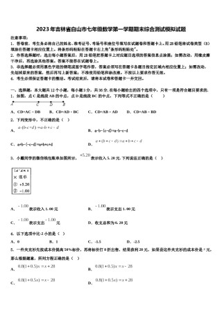 2023年吉林省白山市七年级数学第一学期期末综合测试模拟试题含解析.doc
