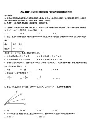 2023年四川省凉山州数学七上期末教学质量检测试题含解析.doc