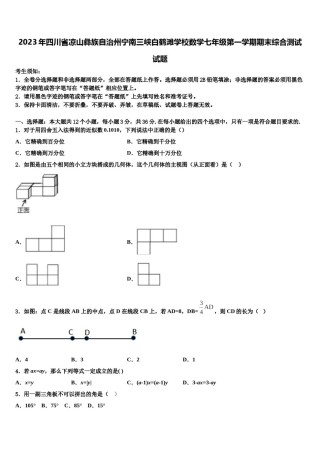 2023年四川省凉山彝族自治州宁南三峡白鹤滩学校数学七年级第一学期期末综合测试试题含解析.doc