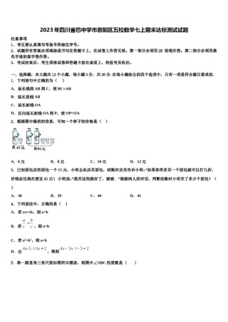 2023年四川省巴中学市恩阳区五校数学七上期末达标测试试题含解析.doc