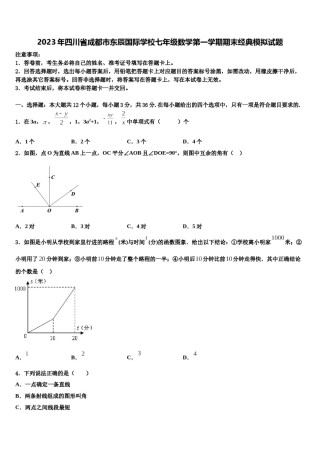 2023年四川省成都市东辰国际学校七年级数学第一学期期末经典模拟试题含解析.doc