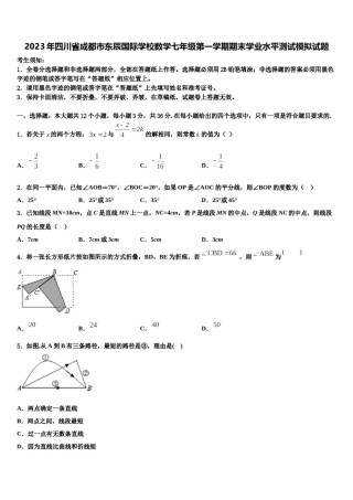 2023年四川省成都市东辰国际学校数学七年级第一学期期末学业水平测试模拟试题含解析.doc