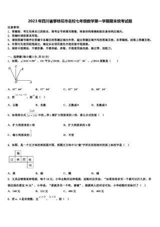 2023年四川省攀枝花市名校七年级数学第一学期期末统考试题含解析.doc