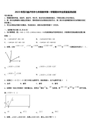 2023年四川省泸州市七年级数学第一学期期末学业质量监测试题含解析.doc
