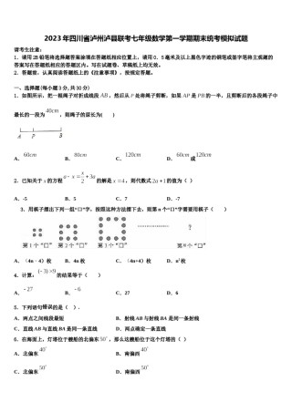 2023年四川省泸州泸县联考七年级数学第一学期期末统考模拟试题含解析.doc