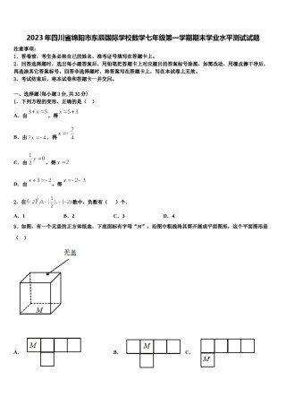 2023年四川省绵阳市东辰国际学校数学七年级第一学期期末学业水平测试试题含解析.doc