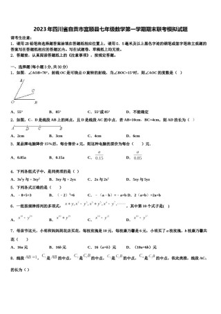 2023年四川省自贡市富顺县七年级数学第一学期期末联考模拟试题含解析.doc