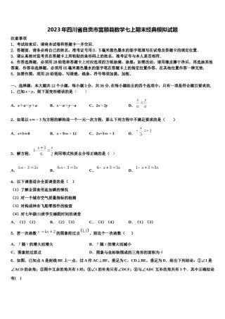 2023年四川省自贡市富顺县数学七上期末经典模拟试题含解析.doc