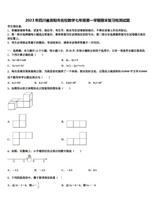 2023年四川省资阳市名校数学七年级第一学期期末复习检测试题含解析.doc