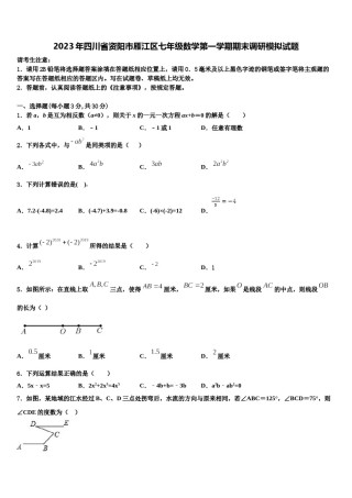 2023年四川省资阳市雁江区七年级数学第一学期期末调研模拟试题含解析.doc