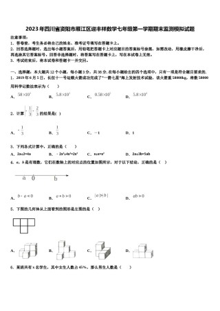 2023年四川省资阳市雁江区迎丰祥数学七年级第一学期期末监测模拟试题含解析.doc