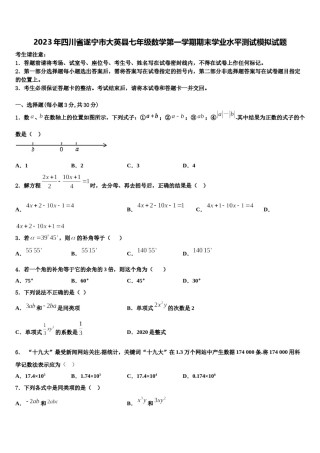 2023年四川省遂宁市大英县七年级数学第一学期期末学业水平测试模拟试题含解析.doc