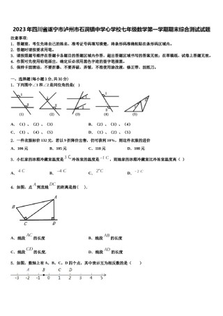 2023年四川省遂宁市泸州市石洞镇中学心学校七年级数学第一学期期末综合测试试题含解析.doc