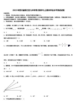 2023年四川省锦江区七中学育才数学七上期末学业水平测试试题含解析.doc