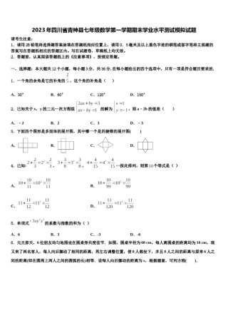 2023年四川省青神县七年级数学第一学期期末学业水平测试模拟试题含解析.doc
