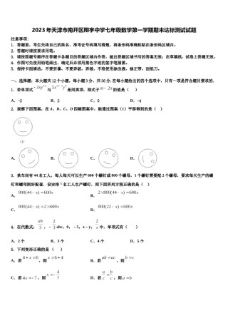 2023年天津市南开区翔宇中学七年级数学第一学期期末达标测试试题含解析.doc