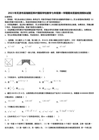 2023年天津市滨海新区枫叶国际学校数学七年级第一学期期末质量检测模拟试题含解析.doc