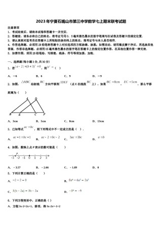 2023年宁夏石嘴山市第三中学数学七上期末联考试题含解析.doc
