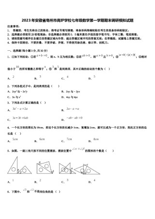 2023年安徽省亳州市高炉学校七年级数学第一学期期末调研模拟试题含解析.doc