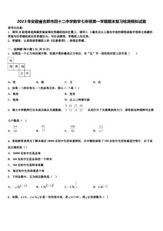 2023年安徽省合肥市四十二中学数学七年级第一学期期末复习检测模拟试题含解析.doc