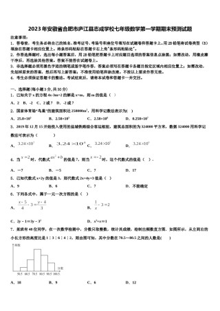 2023年安徽省合肥市庐江县志成学校七年级数学第一学期期末预测试题含解析.doc