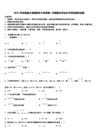 2023年安徽省太湖县数学七年级第一学期期末学业水平测试模拟试题含解析.doc