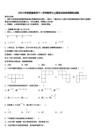 2023年安徽省宿州十一中学数学七上期末达标检测模拟试题含解析.doc