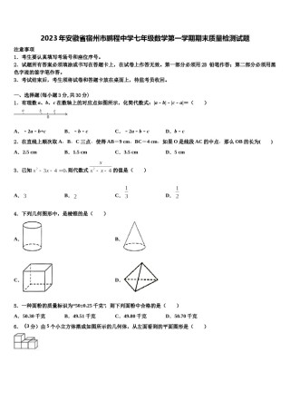 2023年安徽省宿州市鹏程中学七年级数学第一学期期末质量检测试题含解析.doc