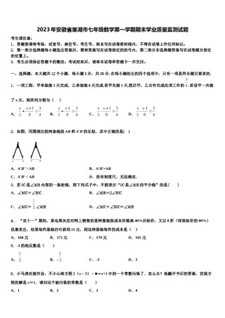 2023年安徽省巢湖市七年级数学第一学期期末学业质量监测试题含解析.doc