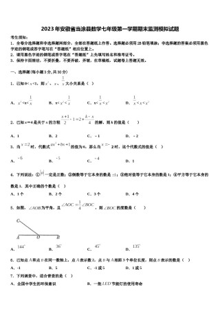2023年安徽省当涂县数学七年级第一学期期末监测模拟试题含解析.doc