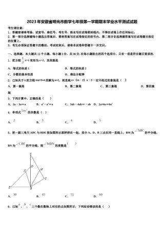 2023年安徽省明光市数学七年级第一学期期末学业水平测试试题含解析.doc