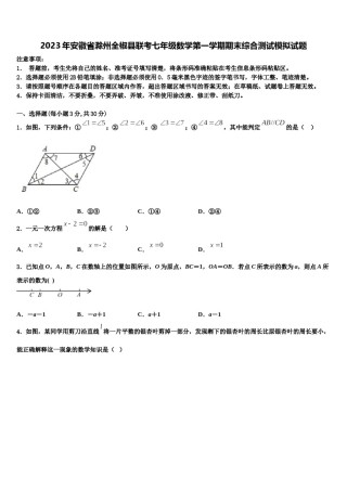 2023年安徽省滁州全椒县联考七年级数学第一学期期末综合测试模拟试题含解析.doc