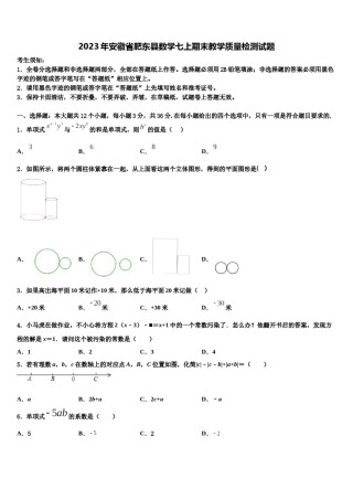 2023年安徽省肥东县数学七上期末教学质量检测试题含解析.doc