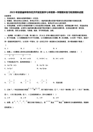 2023年安徽省蚌埠市经济开发区数学七年级第一学期期末复习检测模拟试题含解析.doc