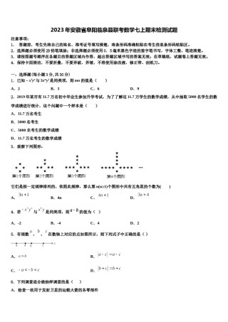 2023年安徽省阜阳临泉县联考数学七上期末检测试题含解析.doc