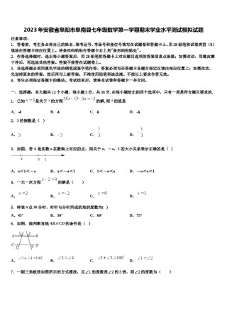 2023年安徽省阜阳市阜南县七年级数学第一学期期末学业水平测试模拟试题含解析.doc