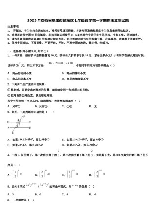 2023年安徽省阜阳市颍东区七年级数学第一学期期末监测试题含解析.doc
