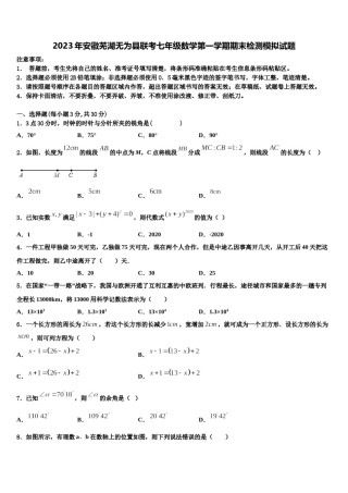 2023年安徽芜湖无为县联考七年级数学第一学期期末检测模拟试题含解析.doc